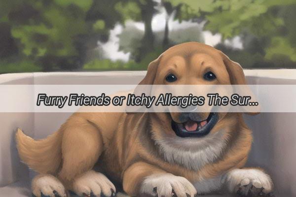 Furry Friends or Itchy Allergies The Surprising Connection Between Dogs and Skin Rashes